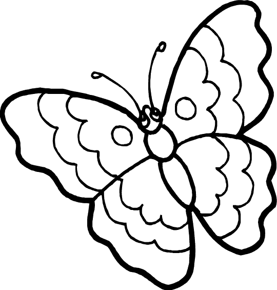 Butterfly Colouring Pictures 12