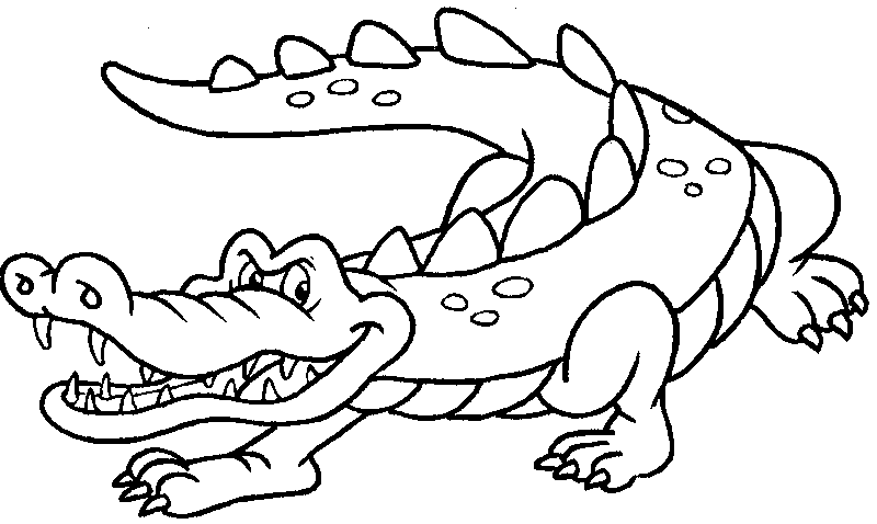 Crocodile Colouring Pictures 3