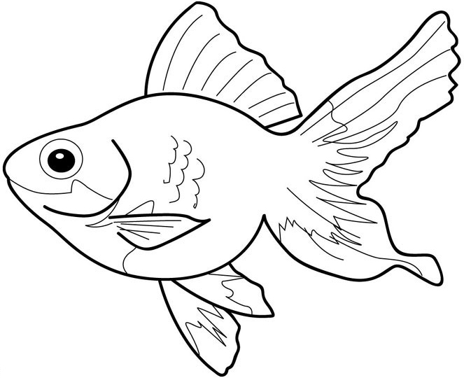 fish colouring pictures