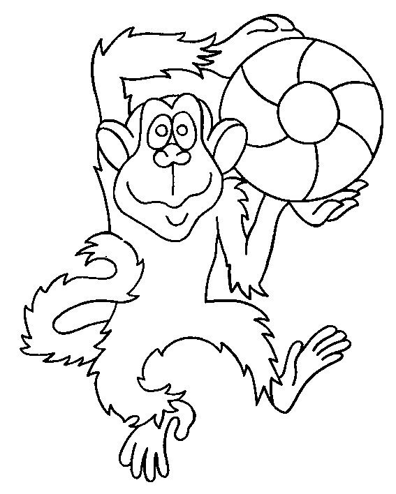 Monkey Colouring Pictures 9