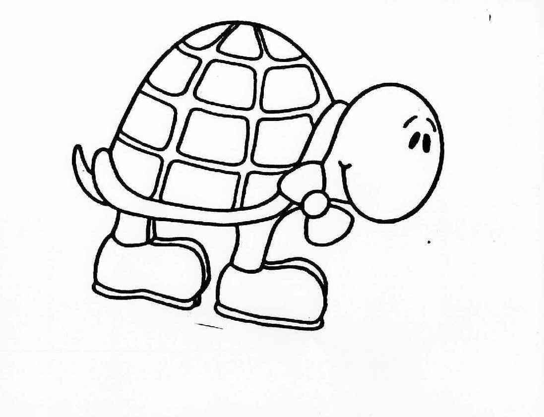 Turtle Colouring Pictures 2