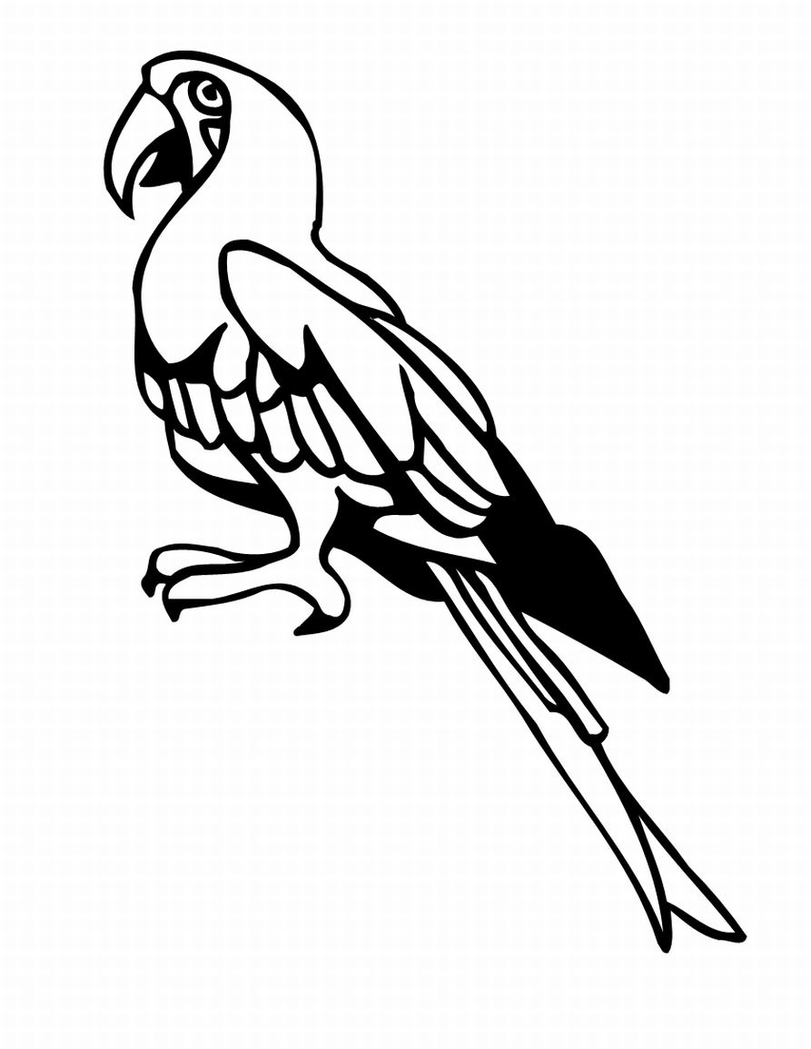 Bird Colouring Pictures 1
