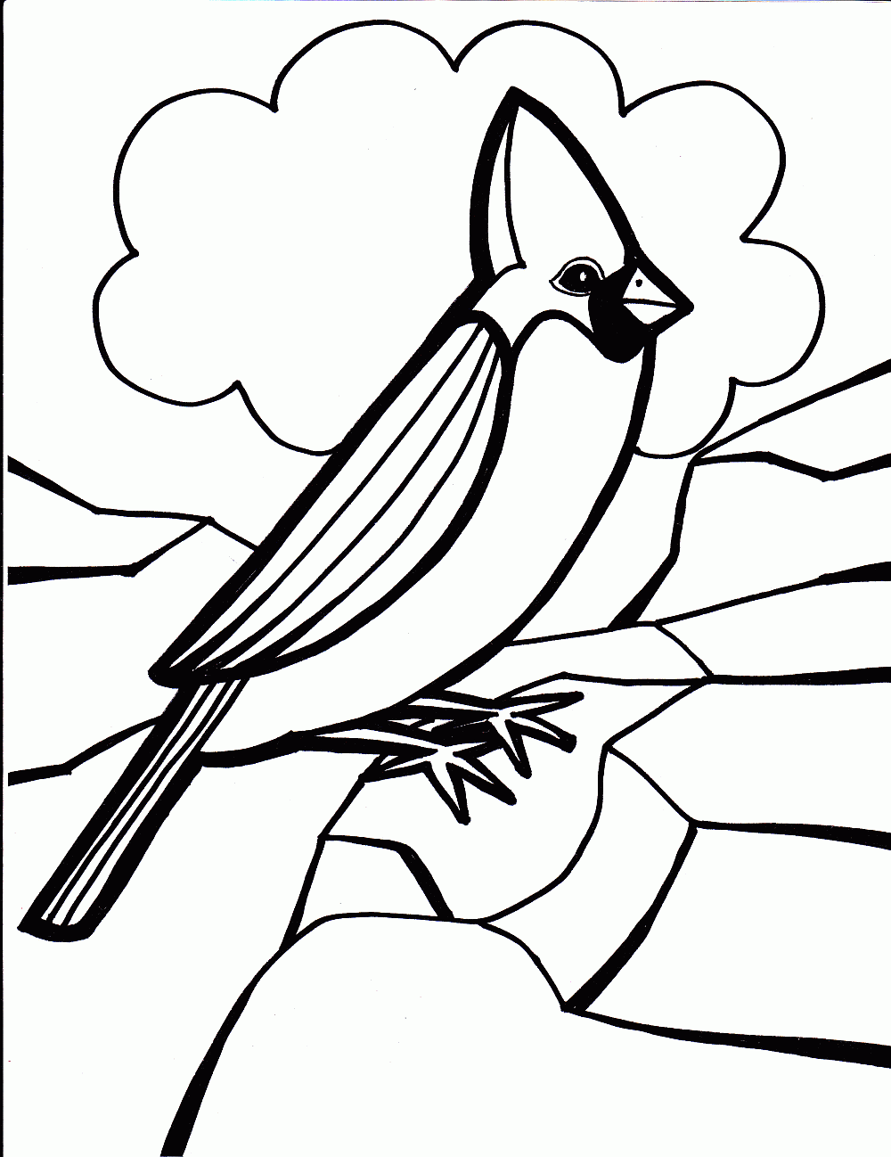 Bird Colouring Pictures 4