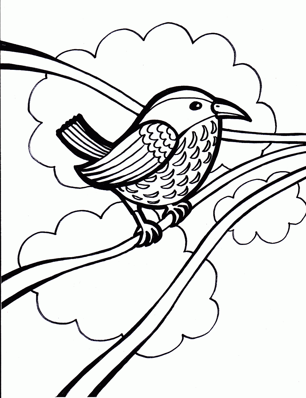 Bird Colouring Pictures 6