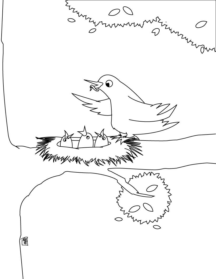 Bird Colouring Pictures 7