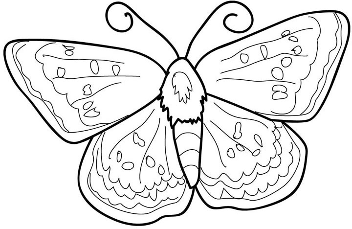 Butterfly Colouring Pictures 3