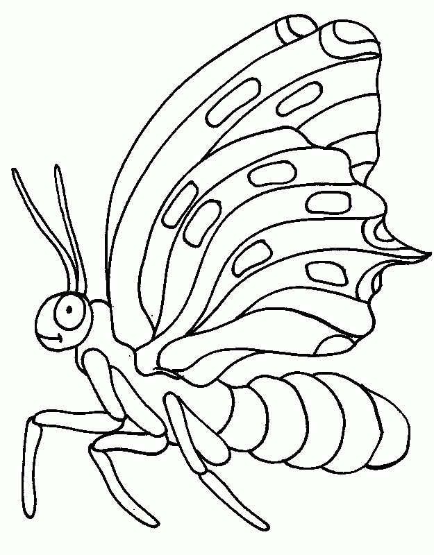 Butterfly Colouring Pictures 5