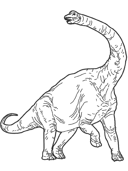 Dinosaur Colouring Pictures 11