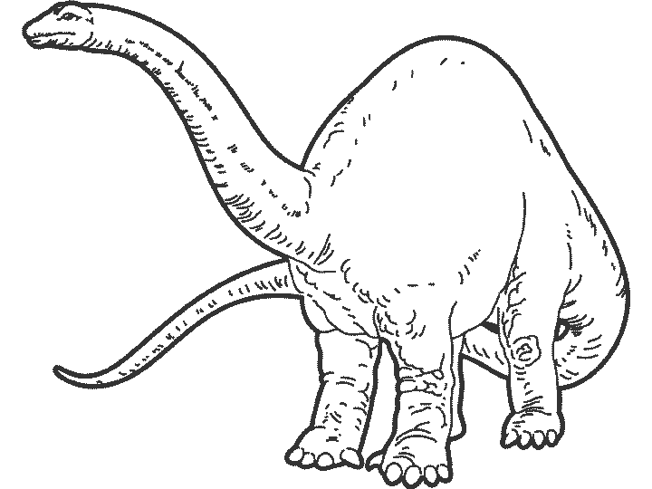 Dinosaur Colouring Pictures 12