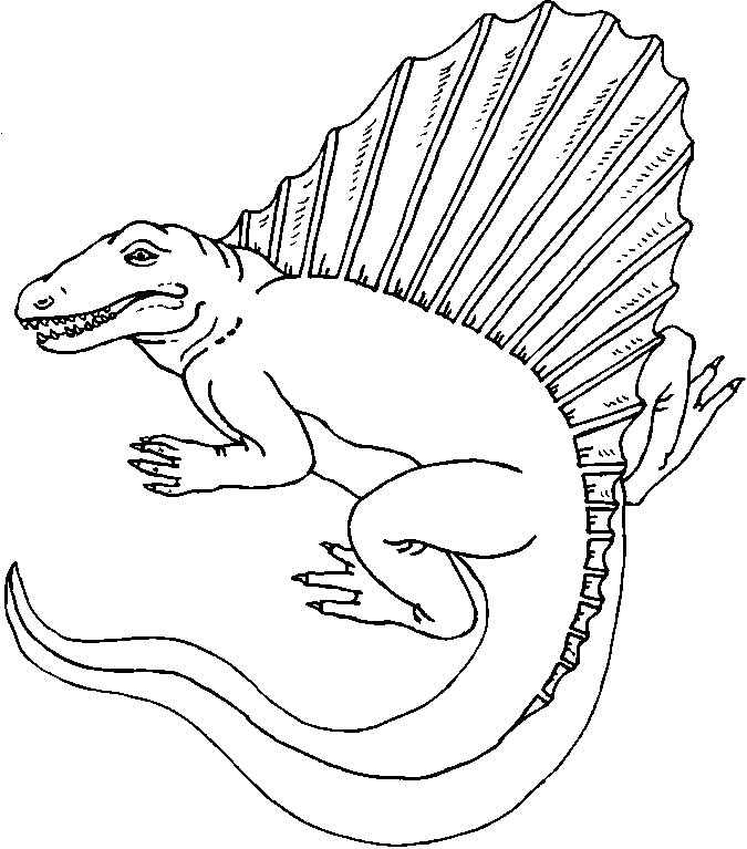 Dinosaur Colouring Pictures 2