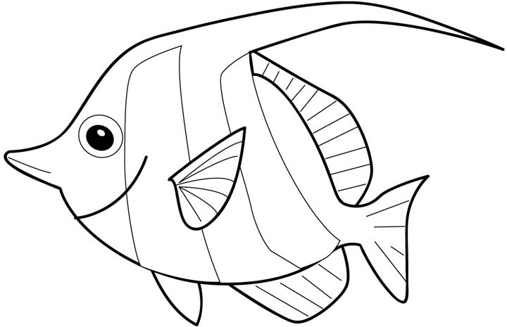 Fish Colouring Pictures 11