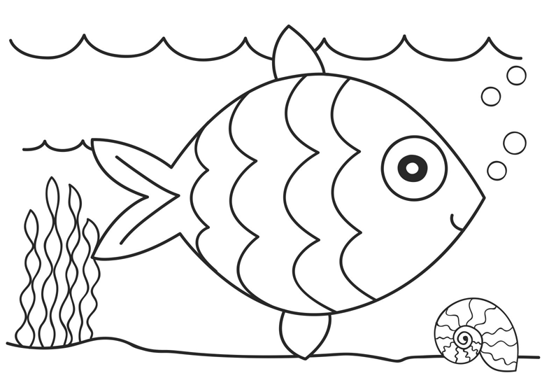 Fish Colouring Pictures 3
