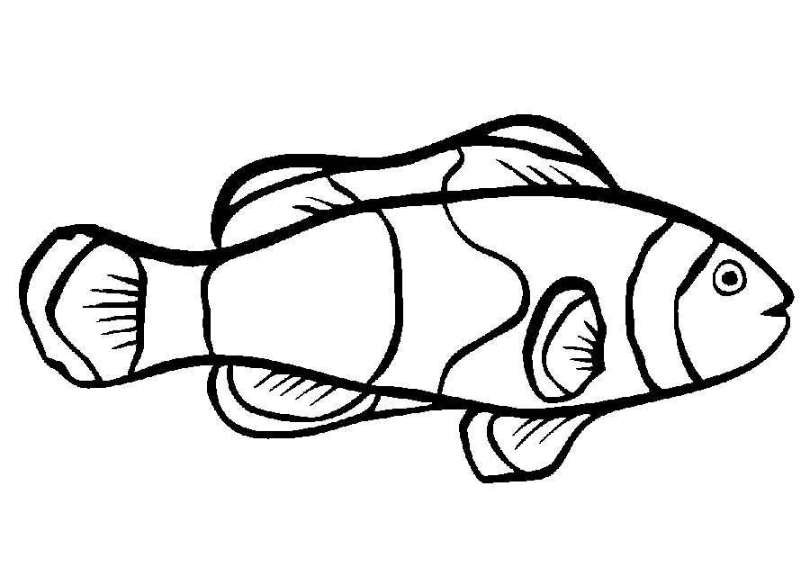 Fish Colouring Pictures 8