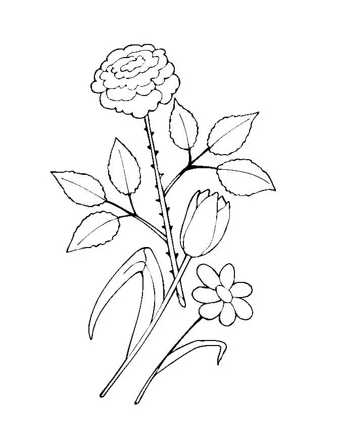 Flower Colouring Pictures 12