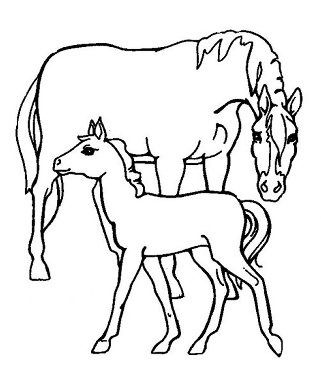 Horse Colouring Pictures 1
