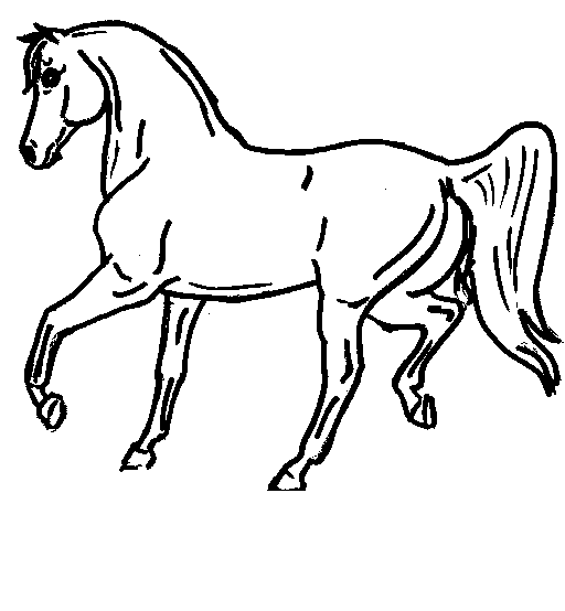 Horse Colouring Pictures 2