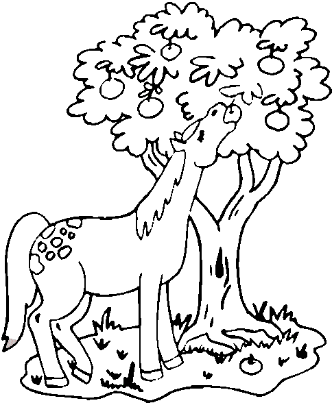 Horse Colouring Pictures 4