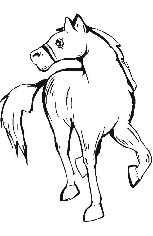 Horse Colouring Pictures 5