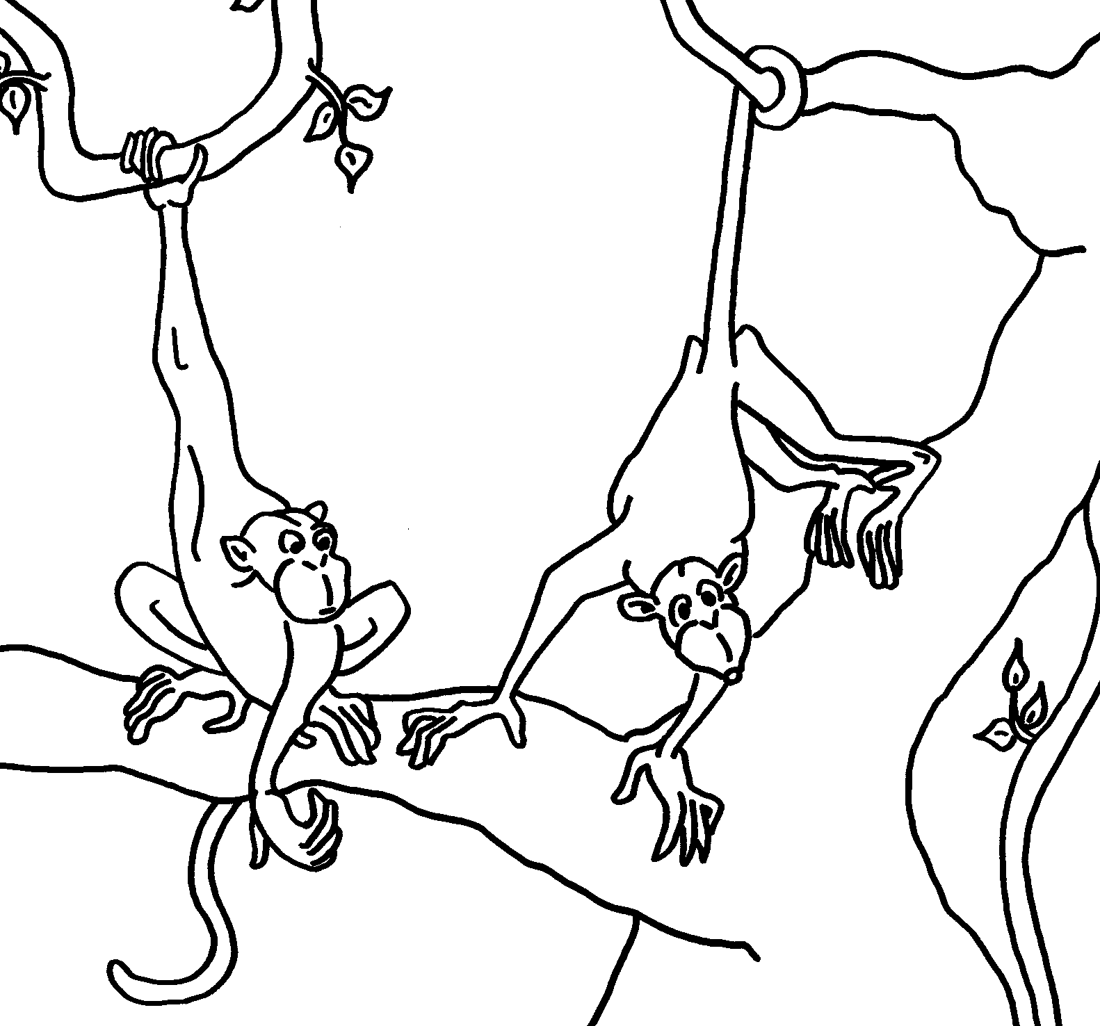 Monkey Colouring Pictures 1