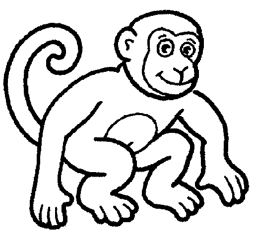 Monkey Colouring Pictures 12