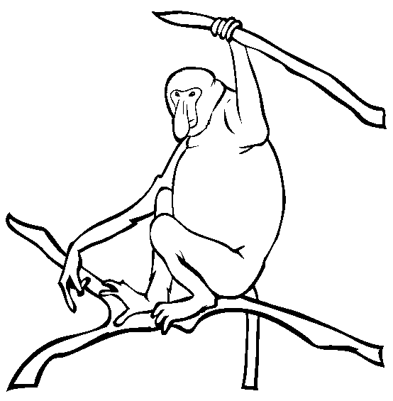 Monkey Colouring Pictures 4