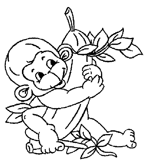 Monkey Colouring Pictures 6