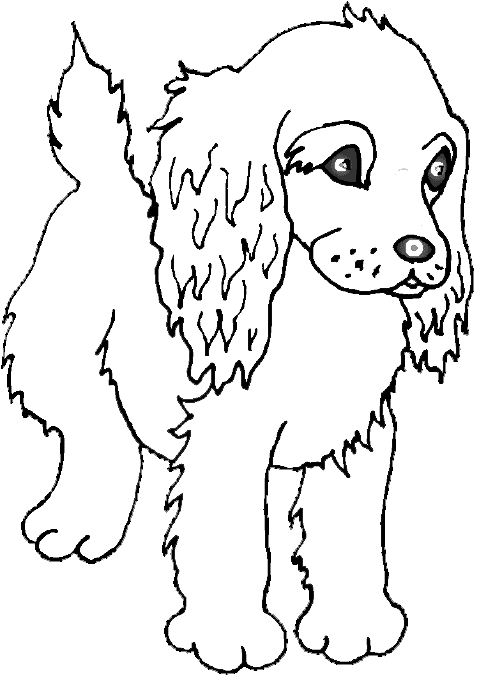 Puppy Colouring Pictures 1