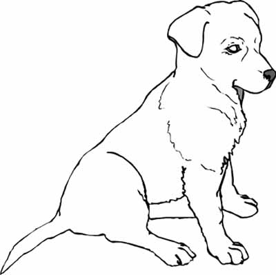 Puppy Colouring Pictures 2