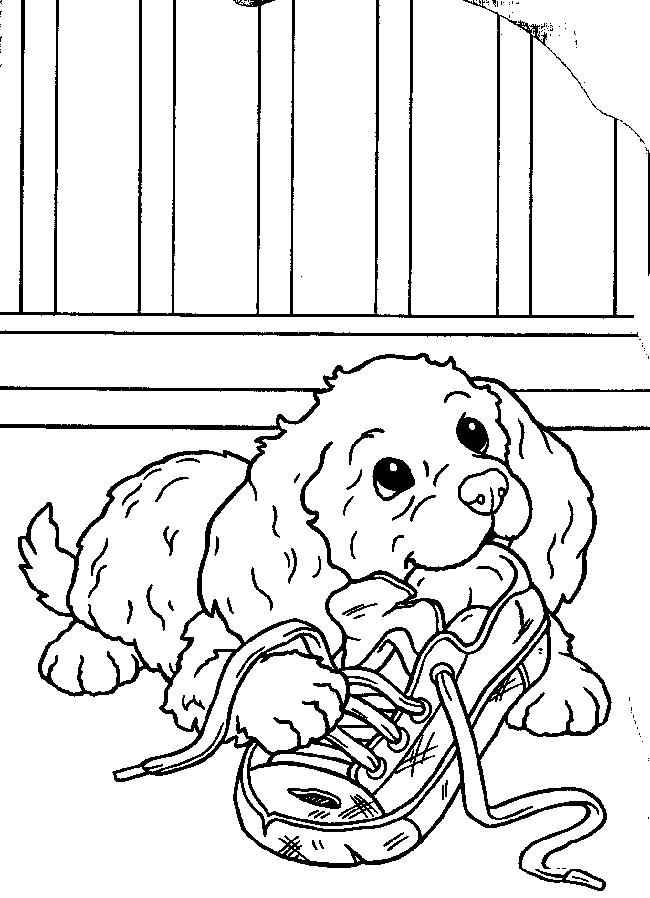 Puppy Colouring Pictures 5