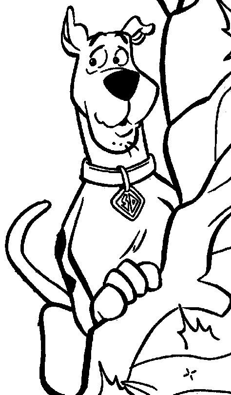 Scooby Doo Colouring Pictures 5