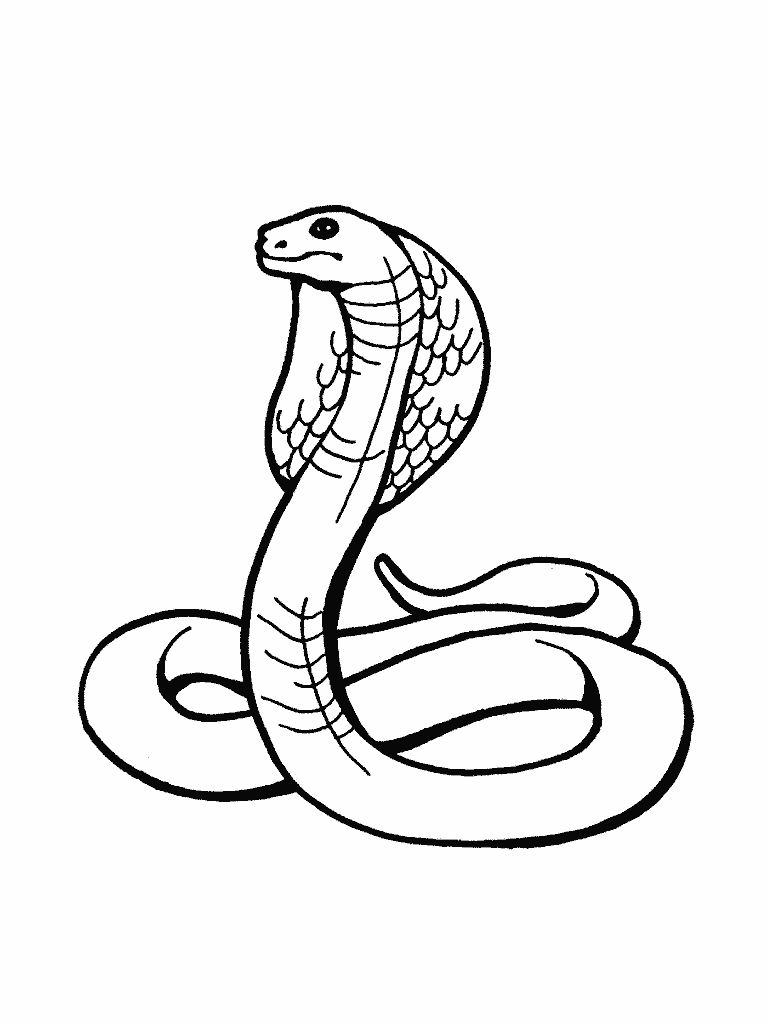 Snake Colouring Pictures 12