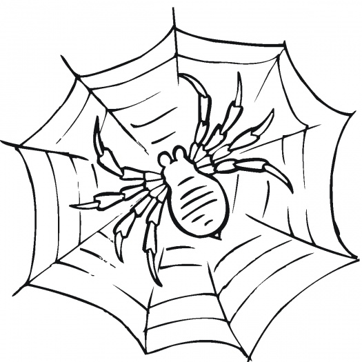 Spider Colouring Printable 1