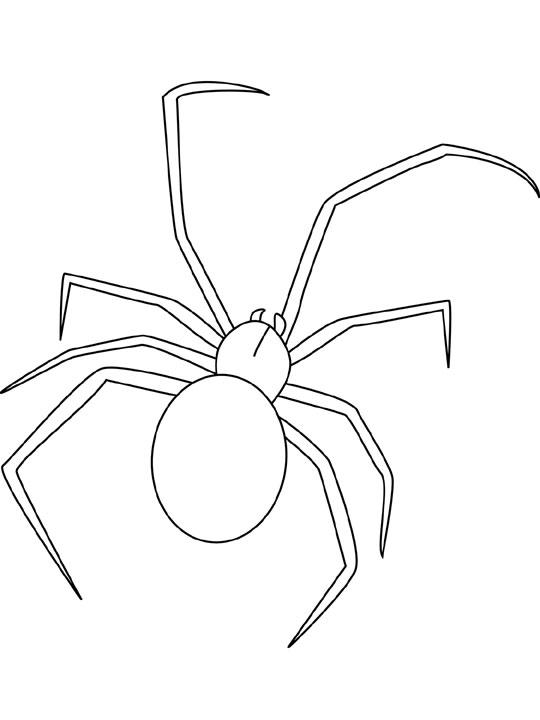 Spider Colouring Printable 10