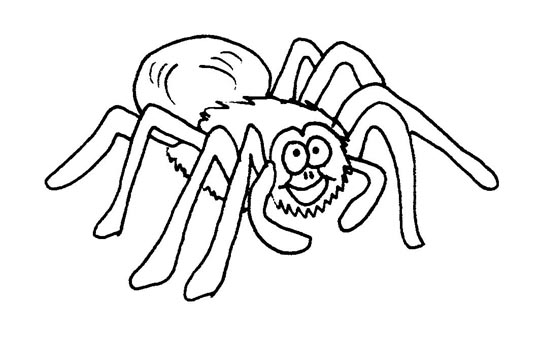 Spider Colouring Printable 4