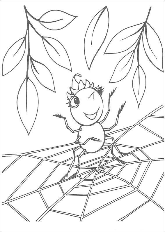 Spider Colouring Printable 6