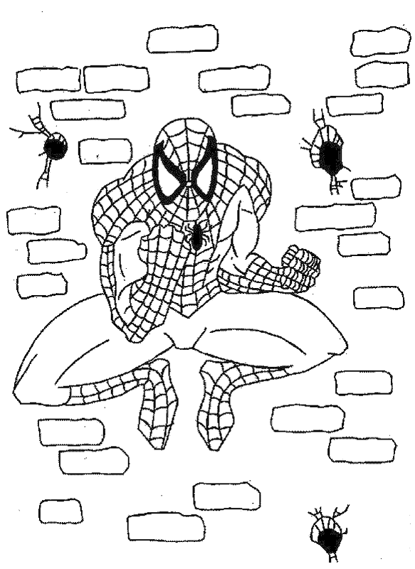 Spiderman Colouring Pictures 12