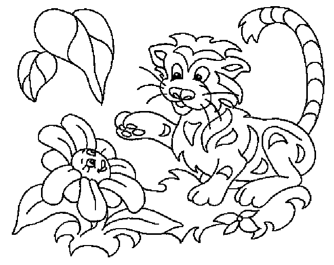 Tiger Colouring Pictures 4