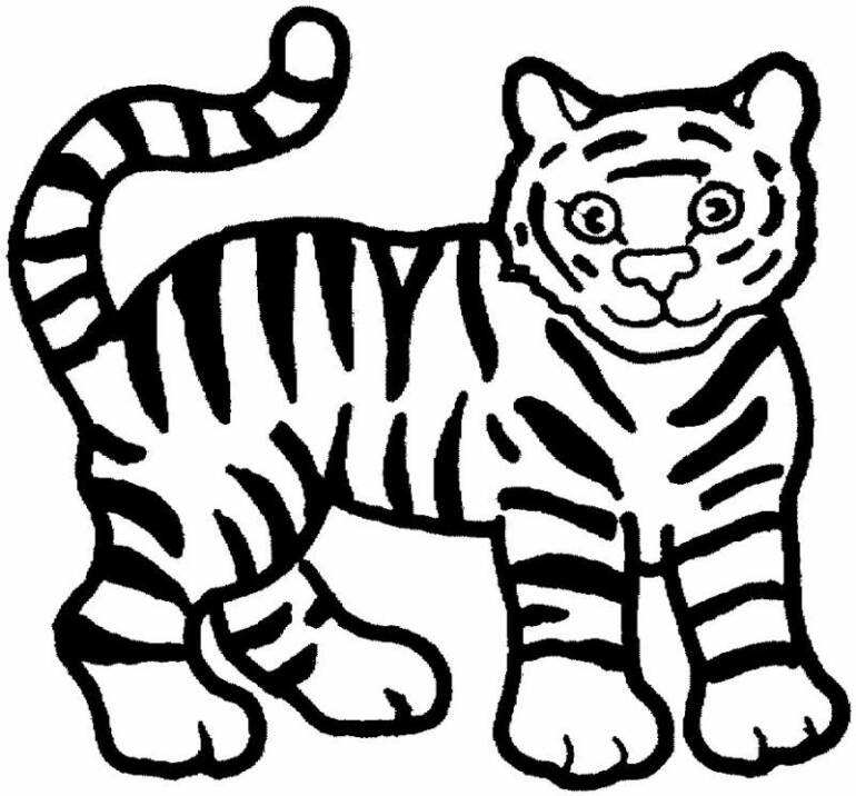 Tiger Colouring Pictures 7