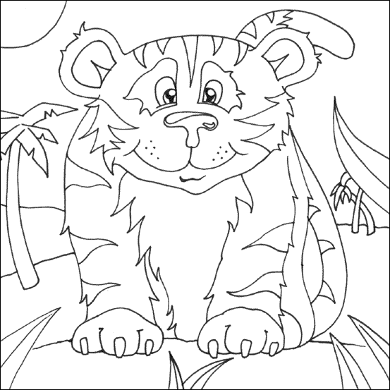 Tiger Colouring Pictures 8