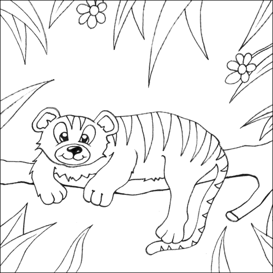 Tiger Colouring Pictures 9
