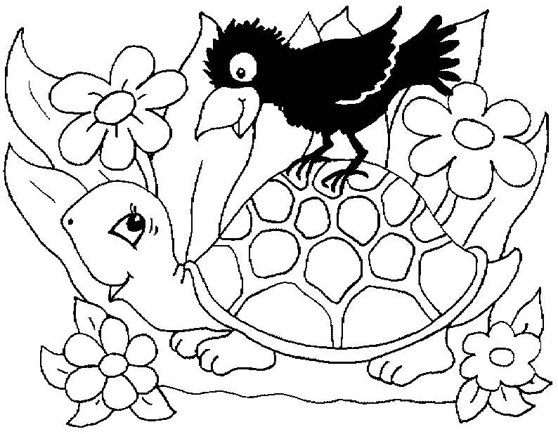 Turtle Colouring Pictures 10