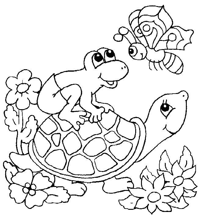 Turtle Colouring Pictures 11