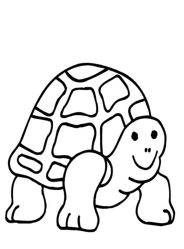 Turtle Colouring Pictures 12