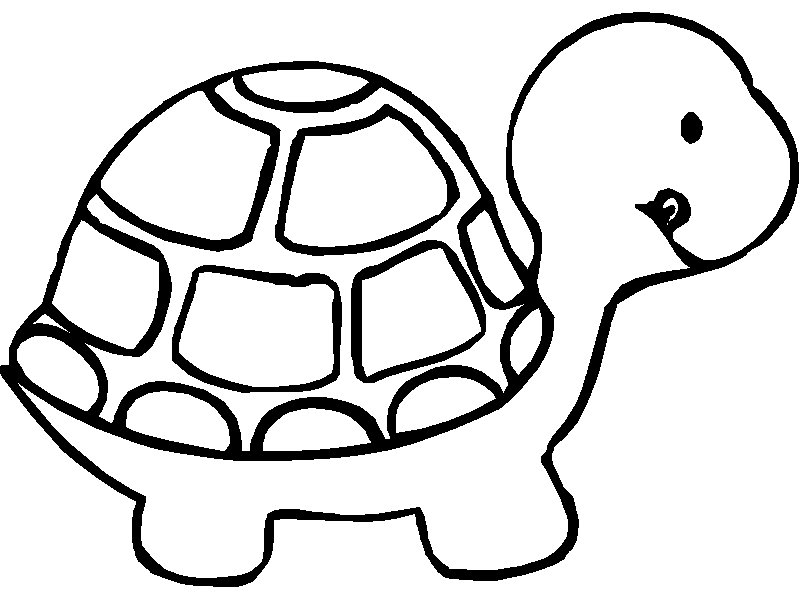 Turtle Colouring Pictures 3