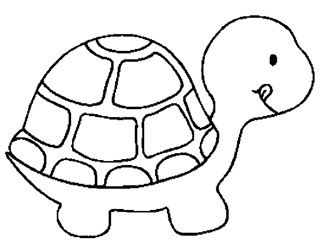 Turtle Colouring Pictures 5